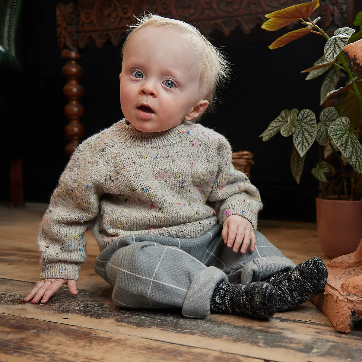Tweedy Junior